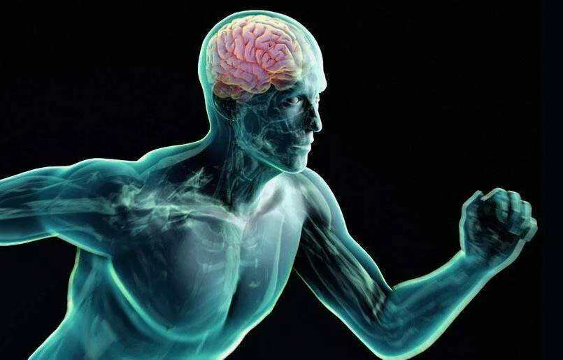 Повышение активности мозга